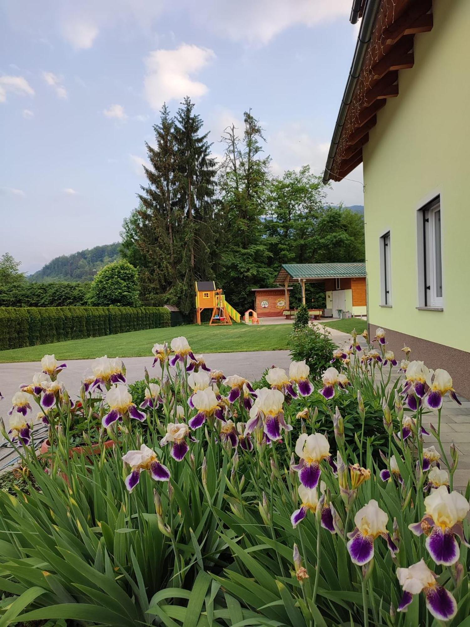 Apartments And Wellness Jelovca Radovljica Ngoại thất bức ảnh