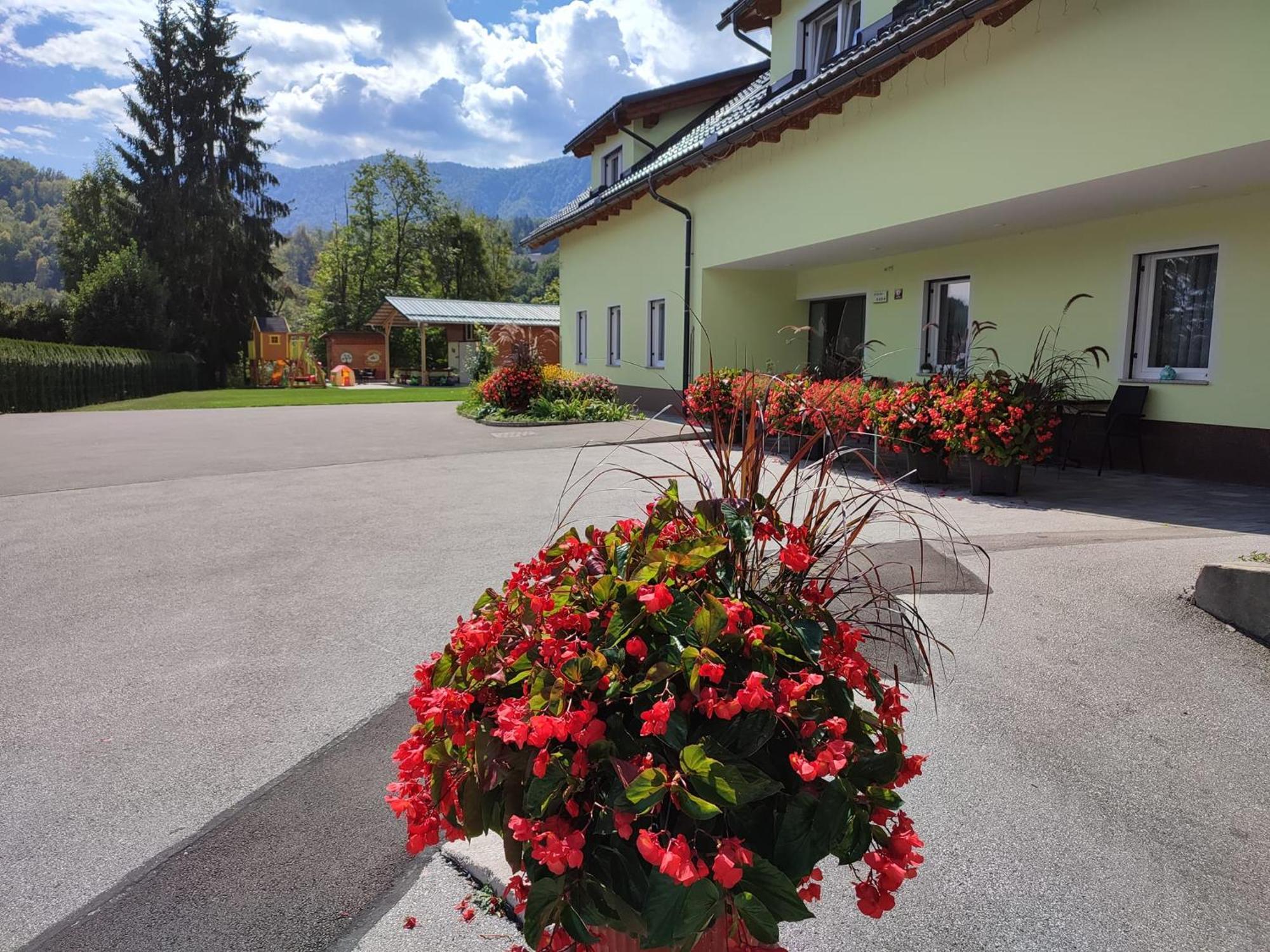 Apartments And Wellness Jelovca Radovljica Ngoại thất bức ảnh
